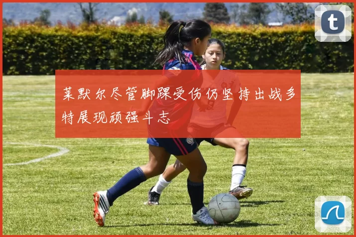 莱默尔尽管脚踝受伤仍坚持出战多特展现顽强斗志